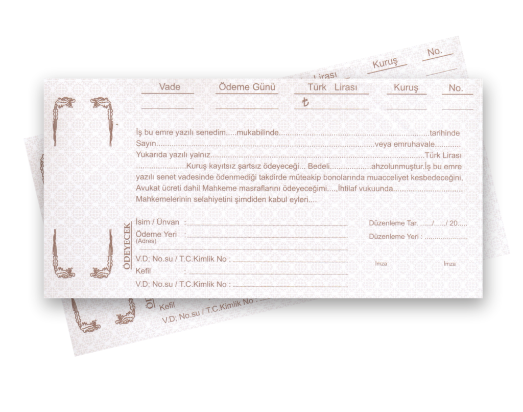 Senedin Ziya ve İptal Davası